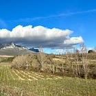 Riding Rioja’s New Wave